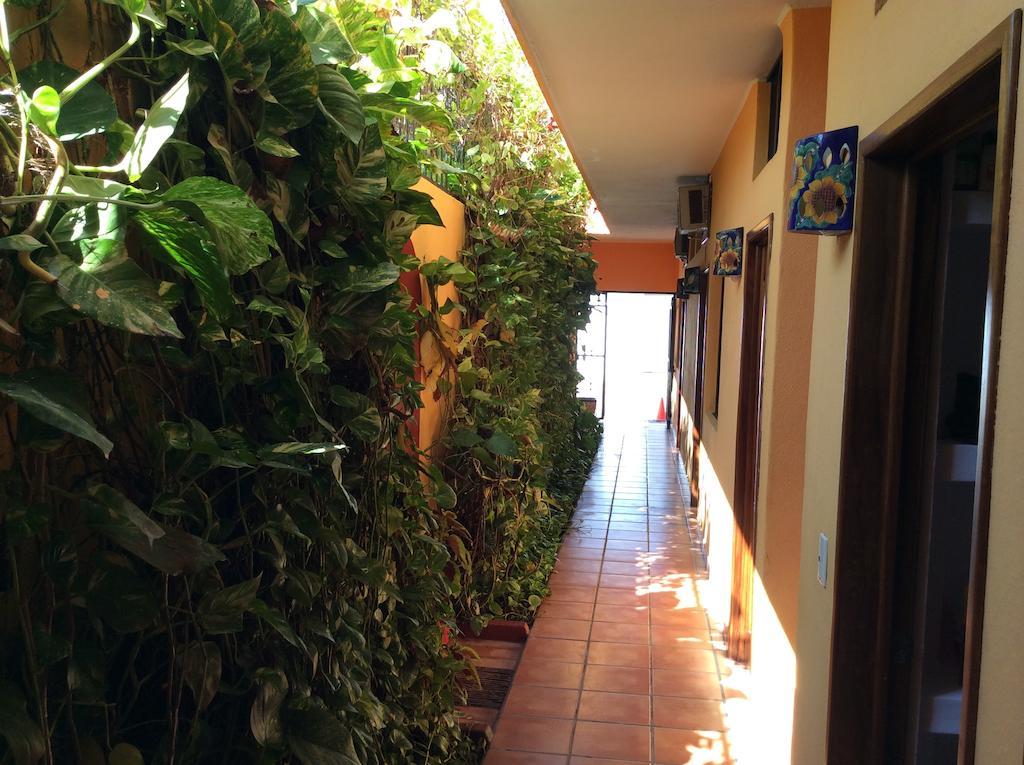 Hotel Joya Del Mar Barra de Navidad Exterior photo
